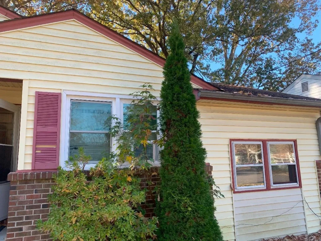 house with pine tree